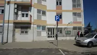 USF Amato Lusitano