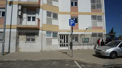 USF Amato Lusitano