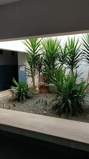 UCSP Barcelos/Alheira