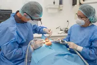 Dconceptclinics, Clínica Dentária em Lagos