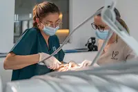 DentalUp - Clinica Médica Dentária