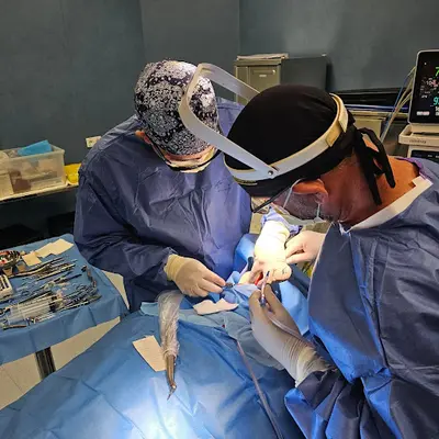 Marcus Jesus medicina dentária avançada