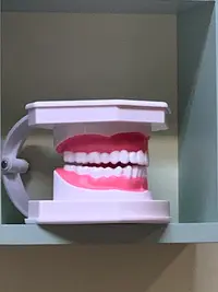 Consultório de Medicina Dentária Dr. Nuno Baptista