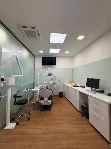 Oral Project Santarém