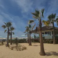 CliSilves