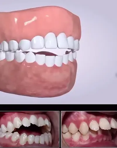 SMILEclinic by martins