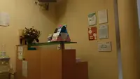 Ortoave - Clínica Medicina Dentária
