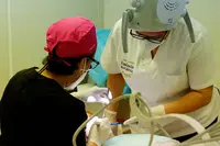 Clínica Dentária Perfil Evidente