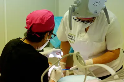 Clínica Dentária Perfil Evidente