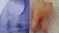 Clínica Dentária Diana Sousa